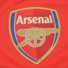 Shirt Arsenal 04-05 Home Premier League Long Sleeve Men's - Image 6